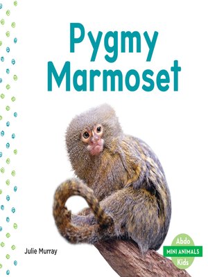 cover image of Pygmy Marmoset